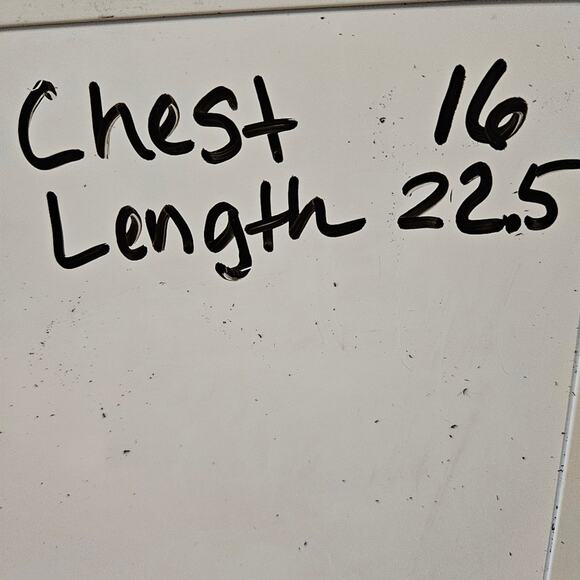 Eileen Fisher Top Ribbed Knit Sweater Green XS 100% Linen Sleeveless Minimalist - Picture 13 of 14